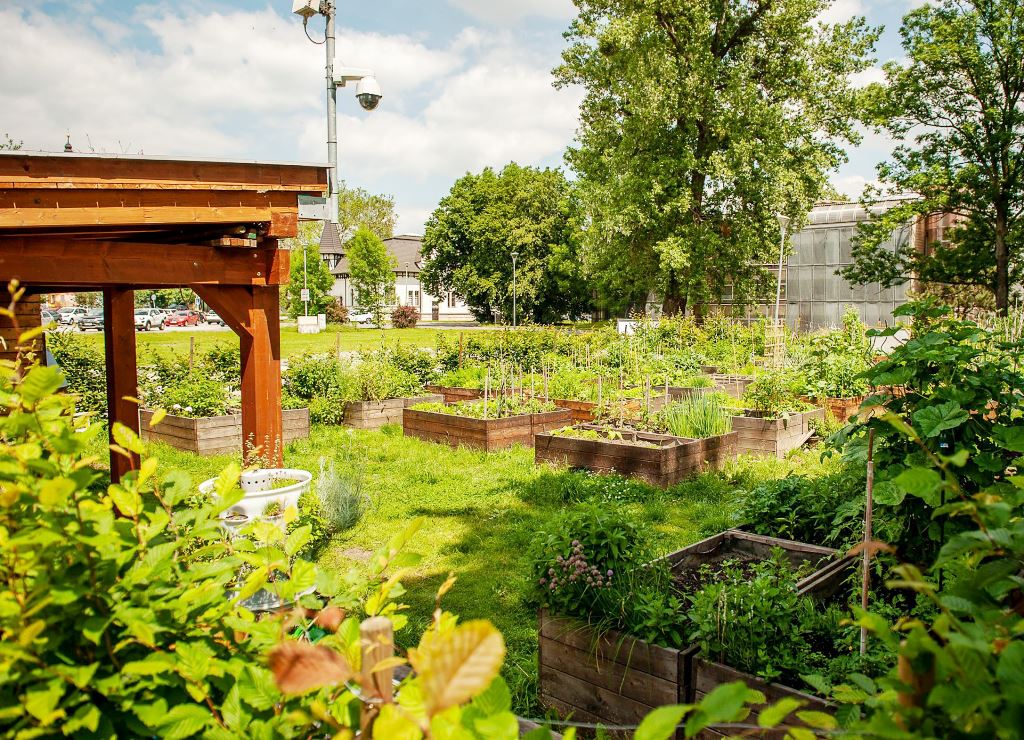 Podporu získal rovněž projekt komunitní zahrady v centru Ostravy. Foto: MMO Podporu získal rovněž projekt komunitní zahrady v centru Ostravy. Foto: MMO